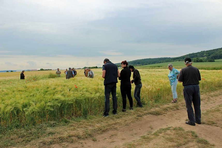 Landwirte auf Flurfahrt