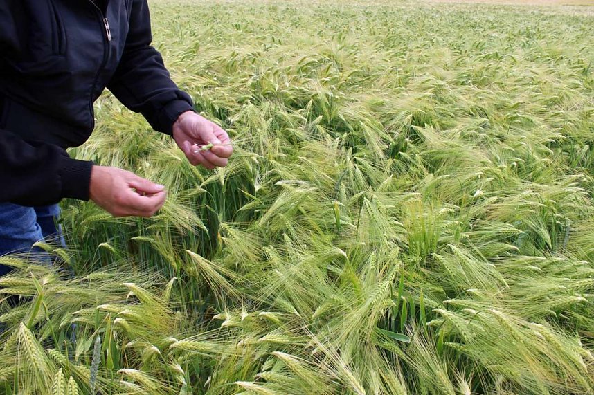 Landwirte auf Flurfahrt