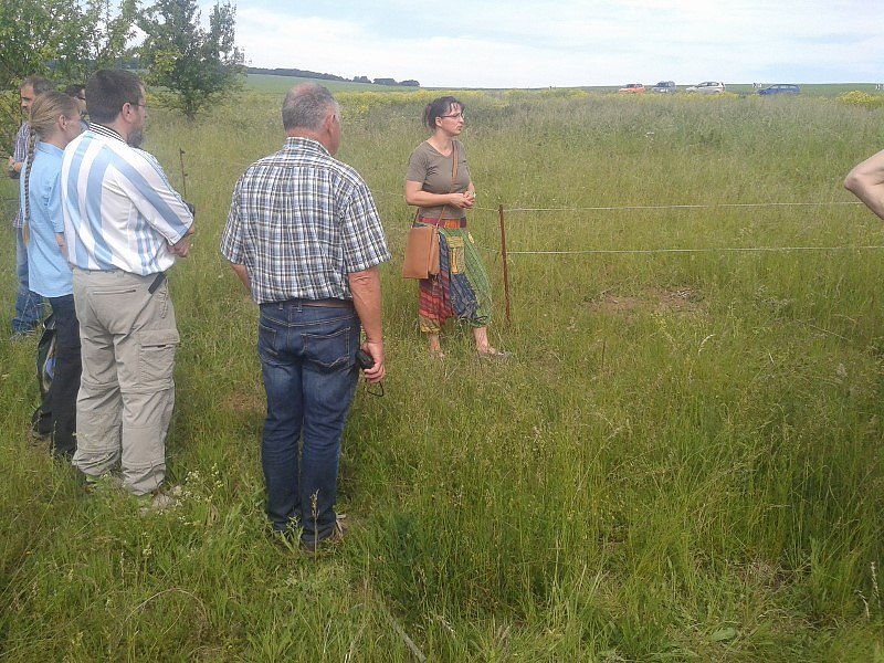 Exkursion in eine Sandgrube