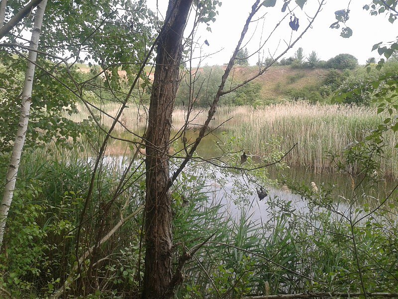 Exkursion in eine Sandgrube