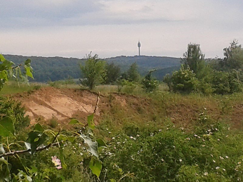 Exkursion in eine Sandgrube