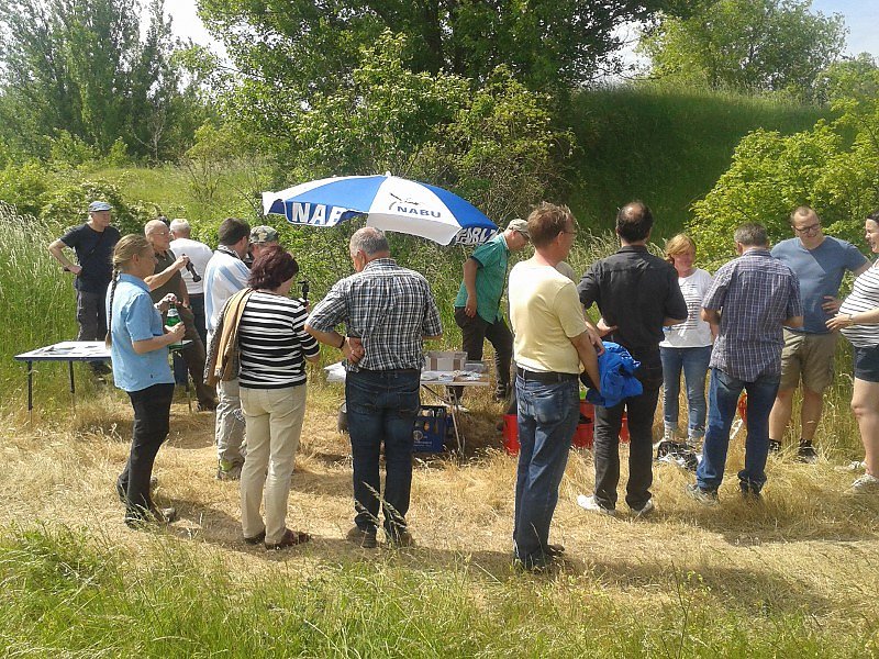 Exkursion in eine Sandgrube