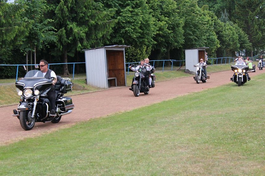 Laubk&ouml;nig gekr&ouml;nt