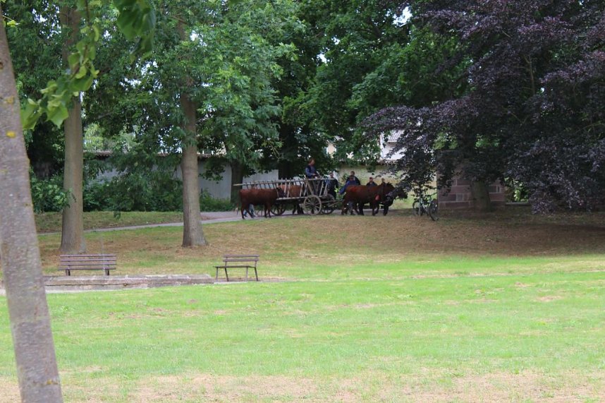 Fest zu 250 Jahre Park Bendeleben