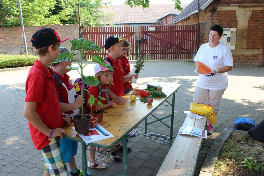 DRK-Jugend im Wettstreit