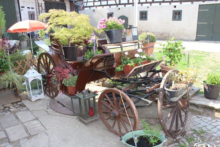 DRK-Jugend im Wettstreit