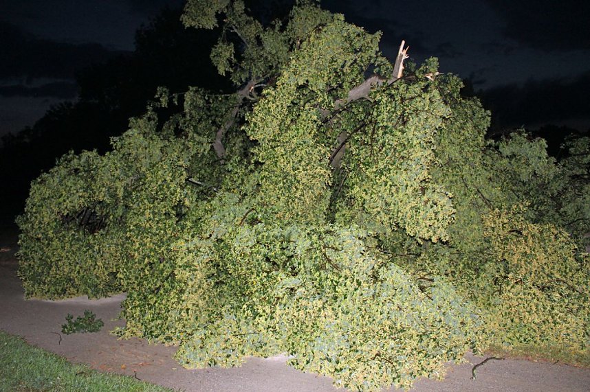 Schlosspark Sondershausen stellenweise regelrecht verw&uuml;stet. Stra&szlig;en wieder frei (Stand 23:40)...