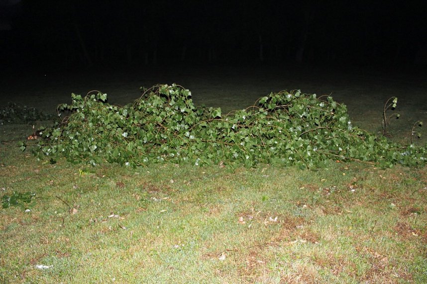 Schlosspark Sondershausen stellenweise regelrecht verw&uuml;stet. Stra&szlig;en wieder frei (Stand 23:40)...