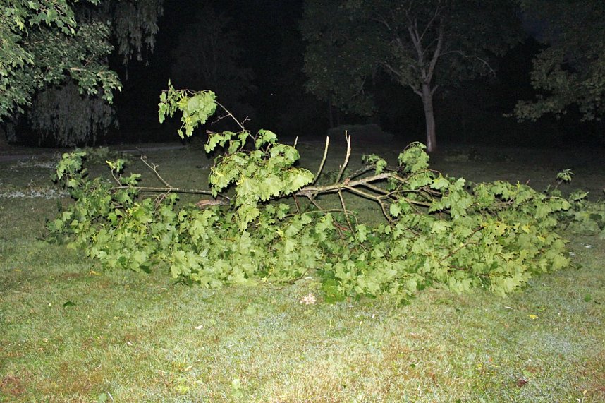Schlosspark Sondershausen stellenweise regelrecht verw&uuml;stet. Stra&szlig;en wieder frei (Stand 23:40)...