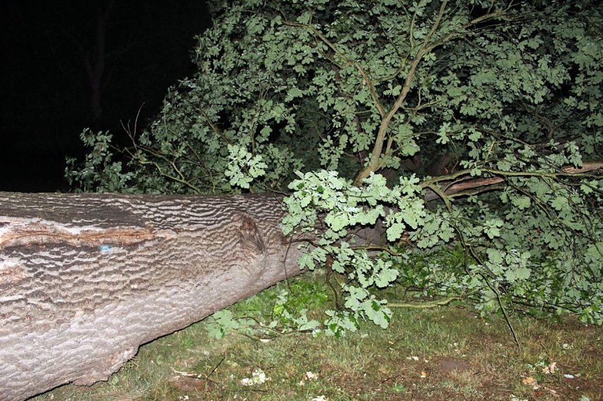 Schlosspark Sondershausen stellenweise regelrecht verw&uuml;stet. Stra&szlig;en wieder frei (Stand 23:40)...