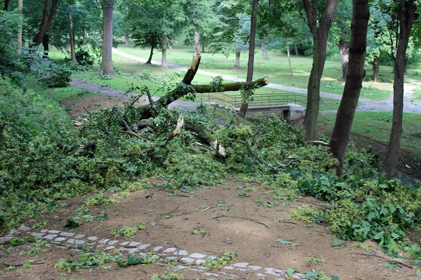 Sturmsch&auml;den im Schlosspark Sondershausen