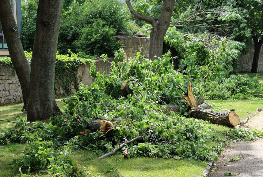 Sturmsch&auml;den im Schlosspark Sondershausen