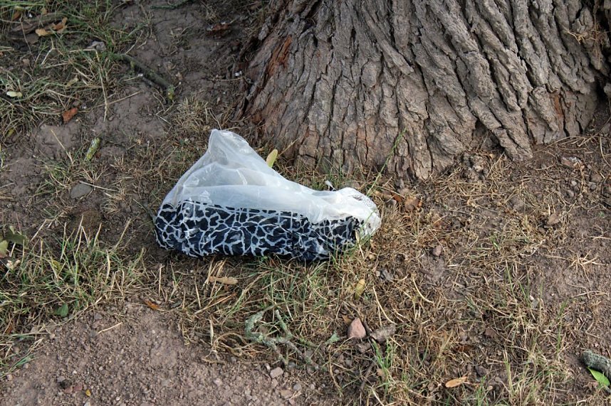 Stilles Abkommen &uuml;ber Hundekot?