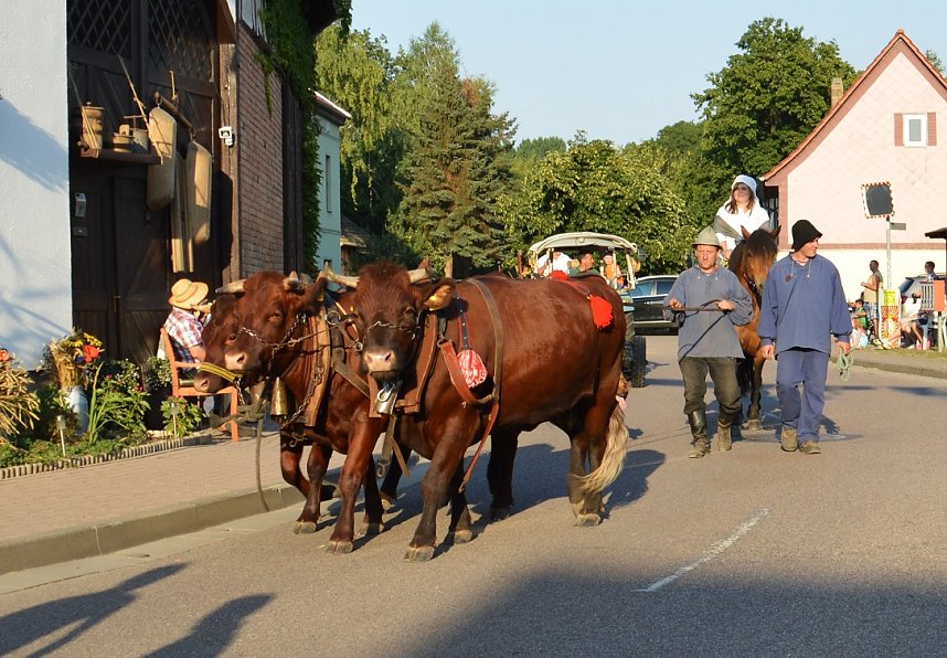 Festumzug in Obertopfstedt