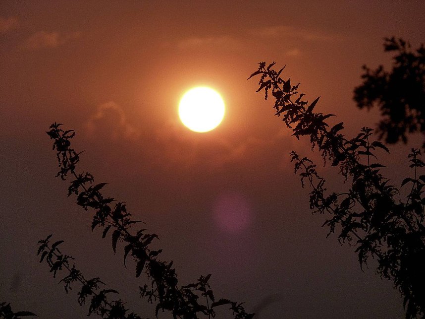 Gestriger Sonnenuntergang