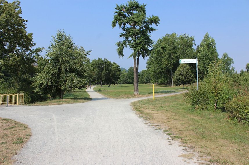 Grillparty im Schlosspark?