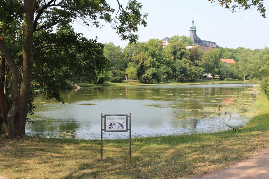 Grillparty im Schlosspark?