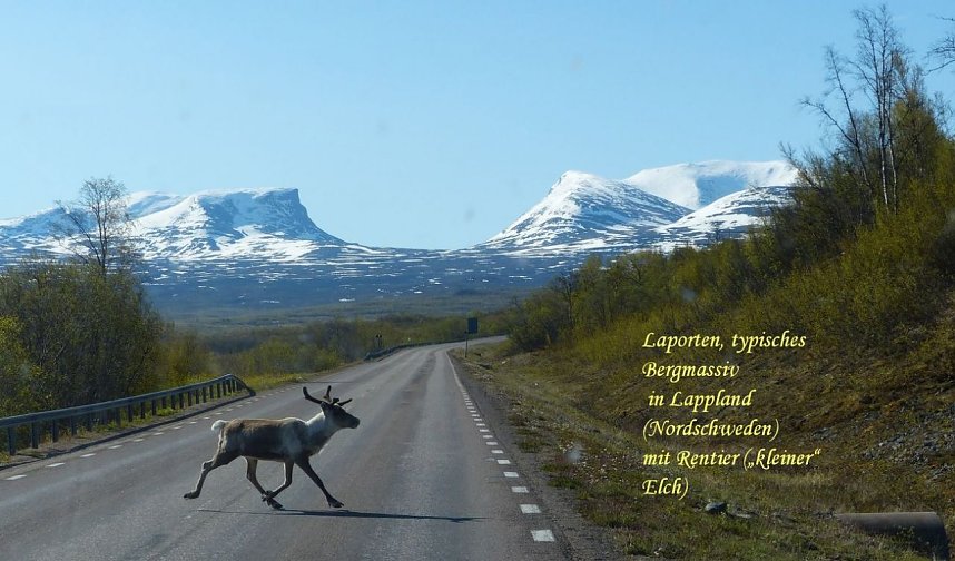 Bilder aus Schweden beeindruckten.