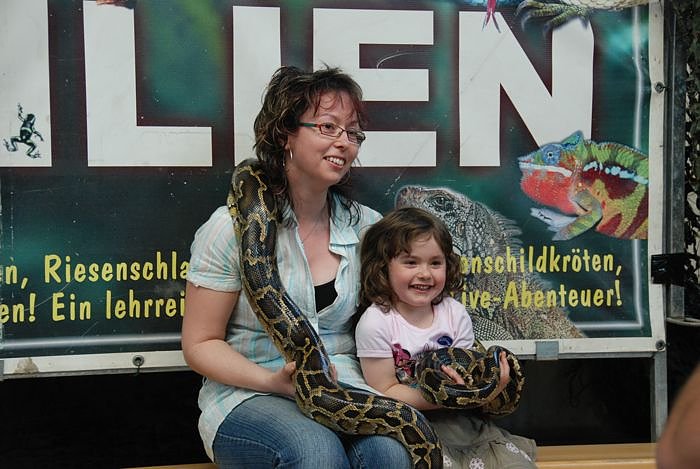 Welt der Reptilien in der Wiedingsburghalle