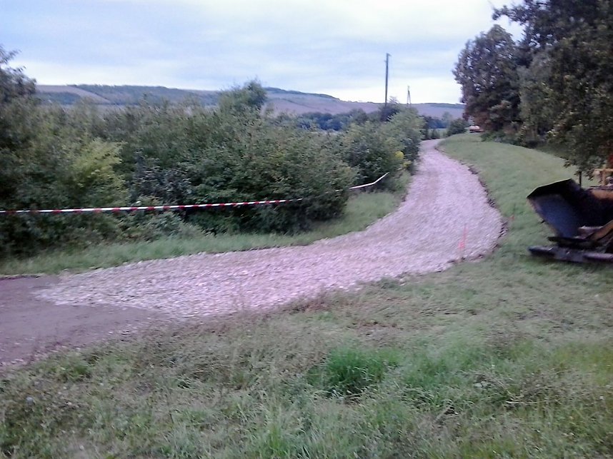 Fischsterben und Bauarbeiten