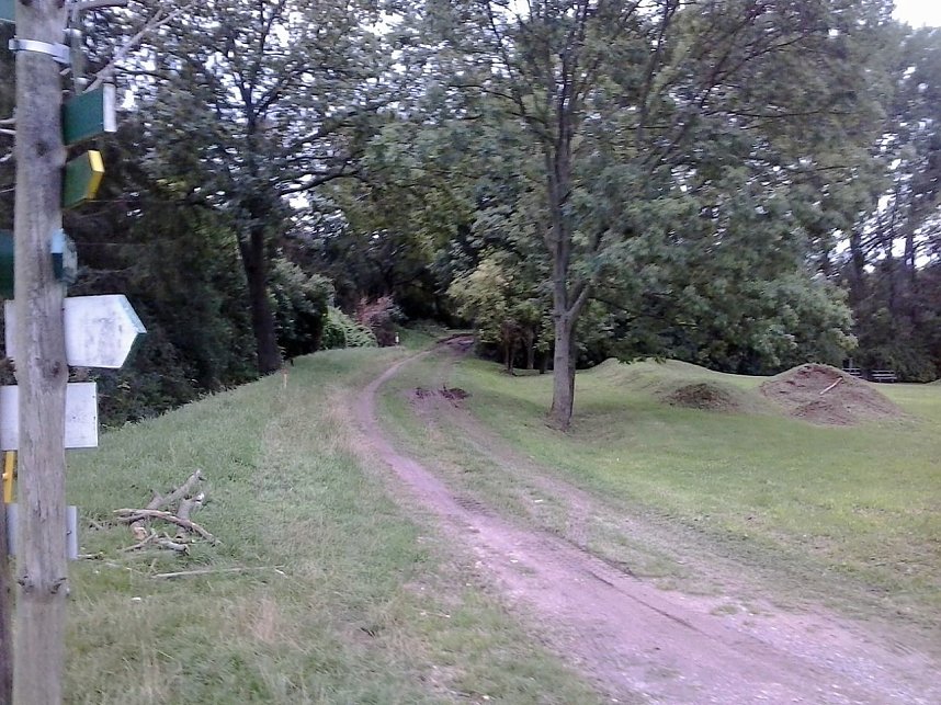 Fischsterben und Bauarbeiten