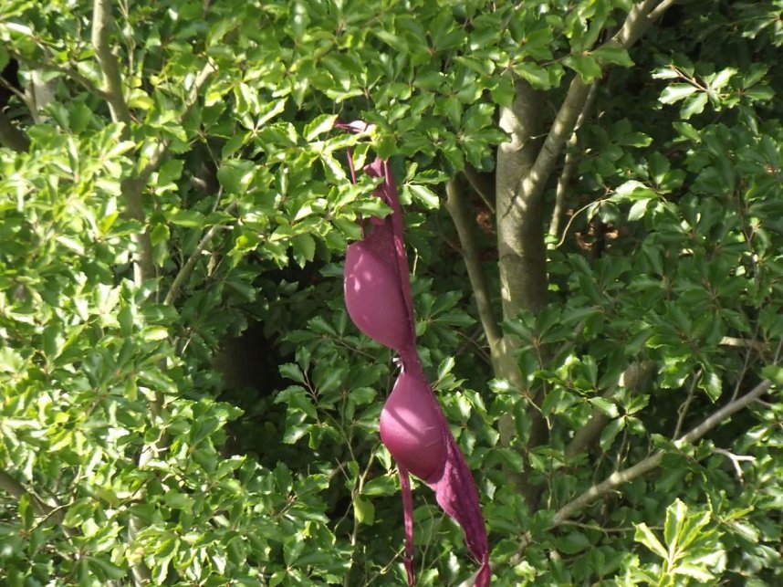 Ausflug zur Bundeshauptstadt