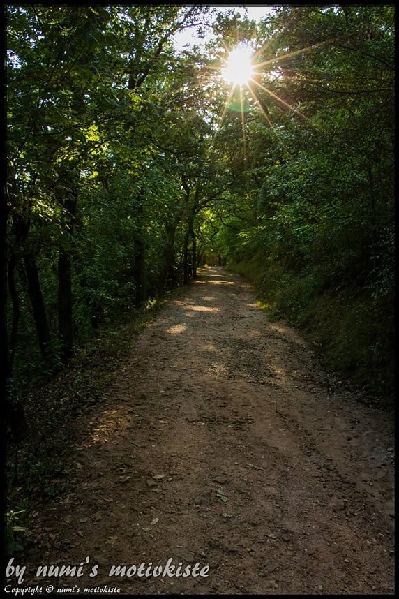 Auf dem Kyffh&auml;user unterwegs