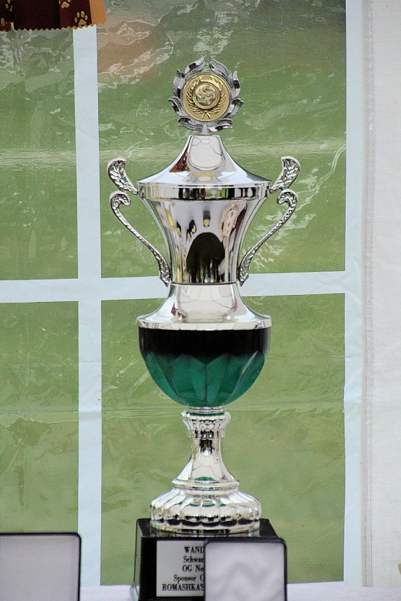 Hunde auf dem Possen