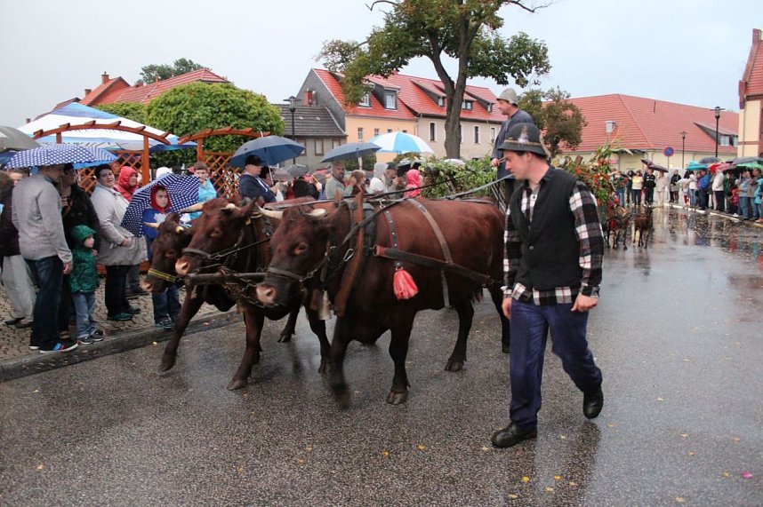 Bauernheer wurde nass gemacht