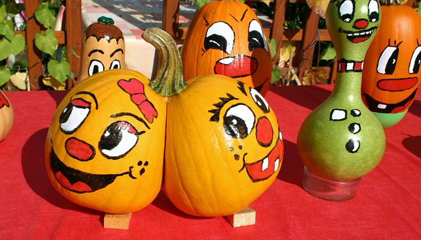 Lustige K&uuml;rbisbilder