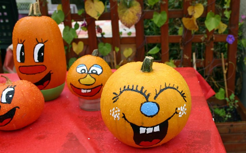 Lustige K&uuml;rbisbilder