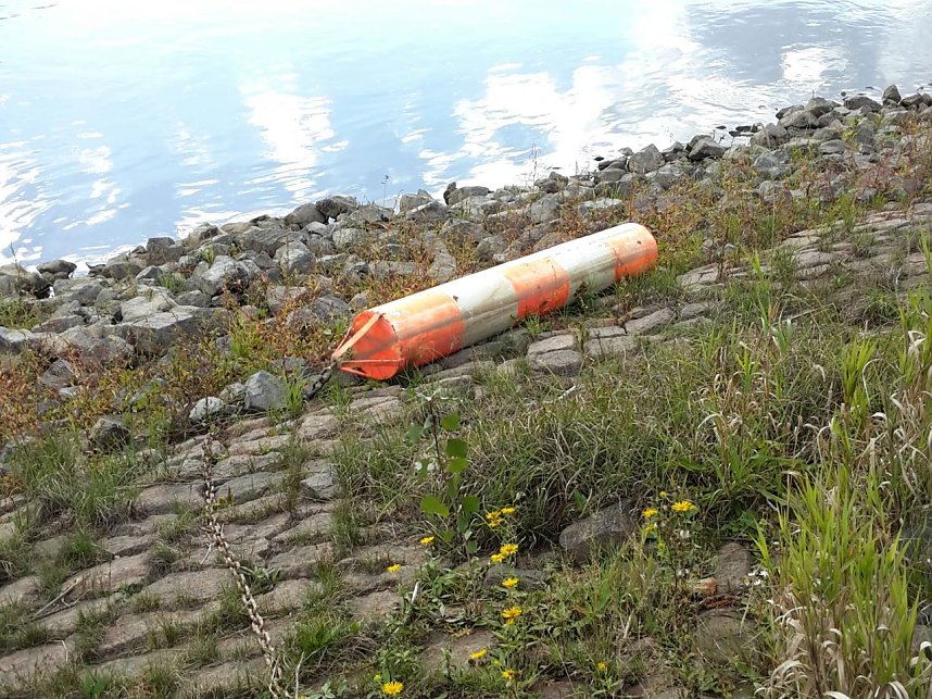 In der Elbe gefunden