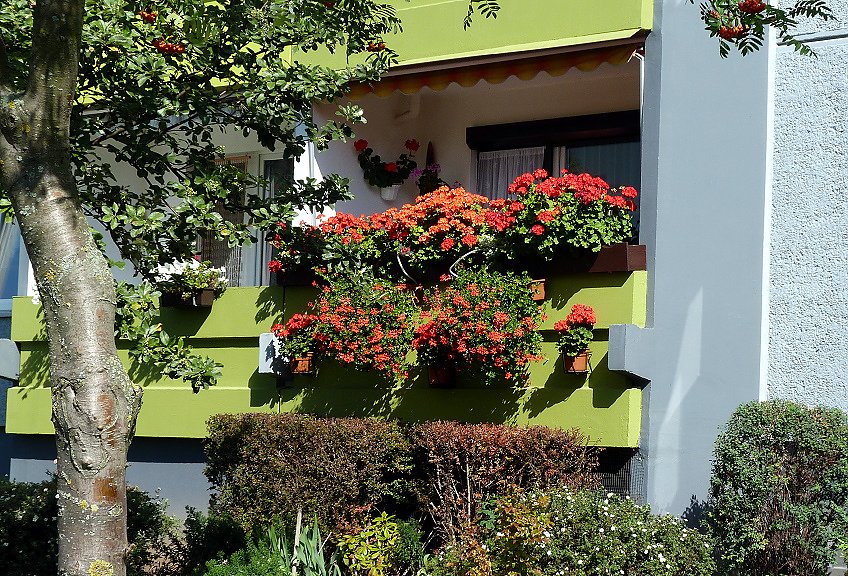 Stadt Frankenhausen sagt Danke