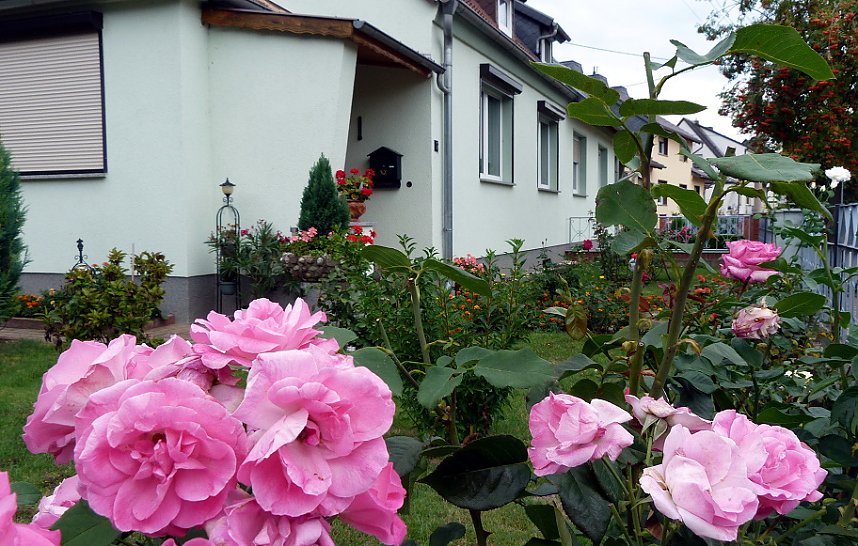 Stadt Frankenhausen sagt Danke