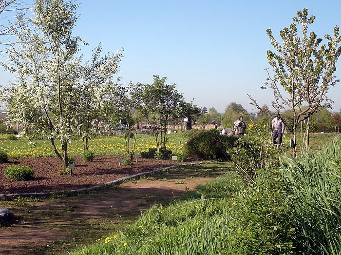 Natur-und Kr&auml;utergarten Artern