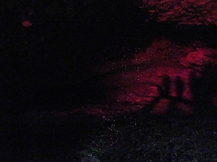 Barbarossa wird munter