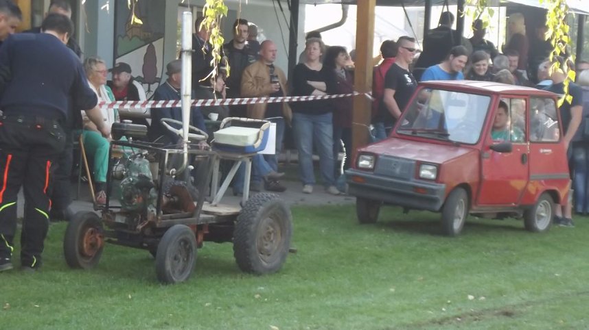 16. Mops-Rennen in Hachelbich