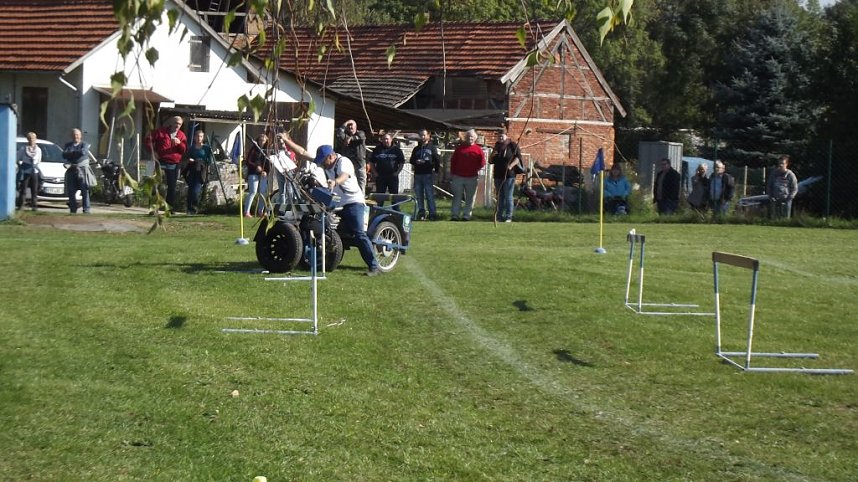 16. Mops-Rennen in Hachelbich