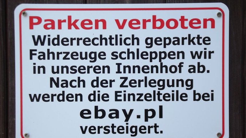 16. Mops-Rennen in Hachelbich