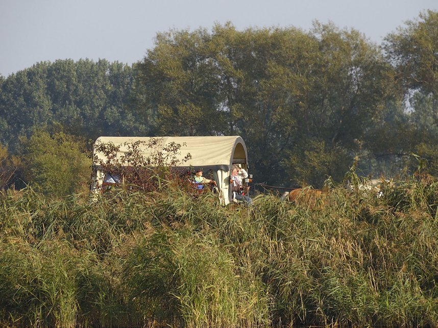 Fischerfest in Auleben