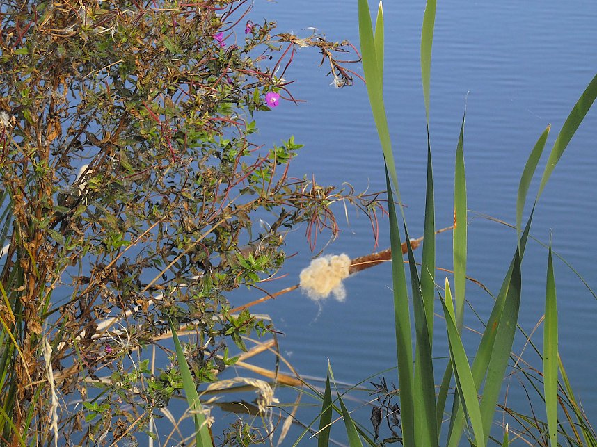 Fischerfest in Auleben