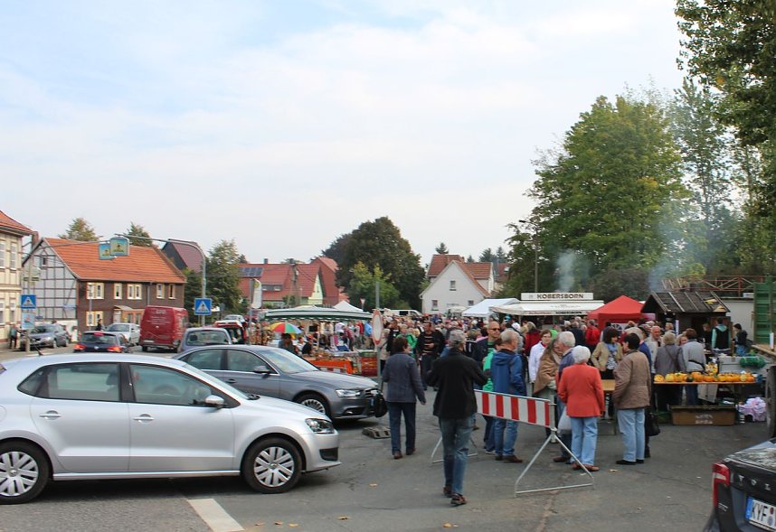 Die haben gekauft wie die Irren!