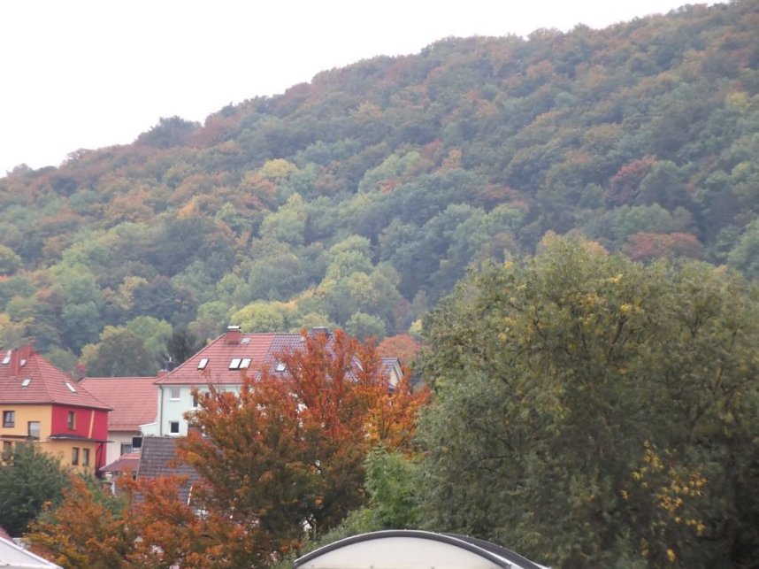 Bunt sind schon die W&auml;lder, �