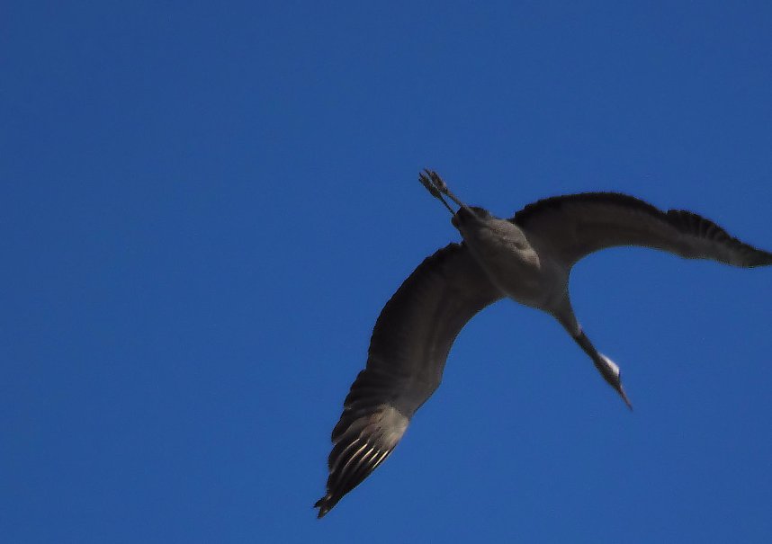 Die Flugschau ist er&ouml;ffnet