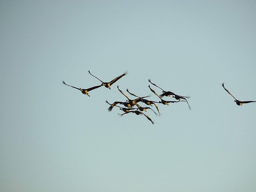 Die Flugschau ist er&ouml;ffnet