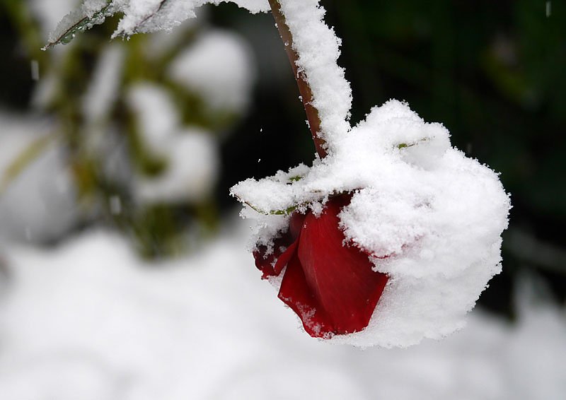 Wettergeschehen aktuell