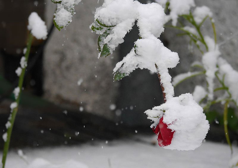 Wettergeschehen aktuell
