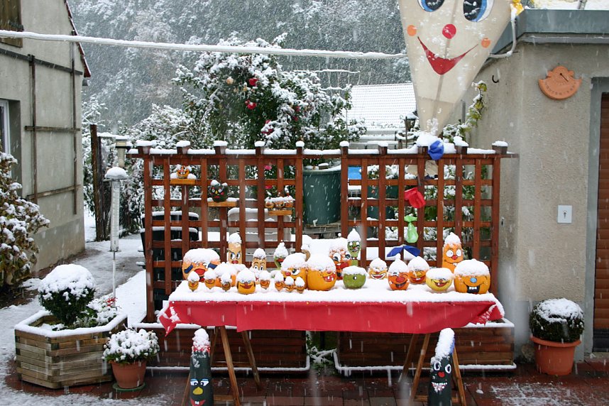 K&uuml;rbiskameraden im Schnee