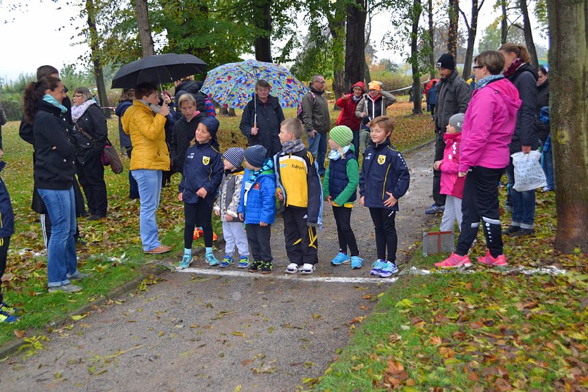 Impressionen vom 22. Stadtparklauf Sondershausen