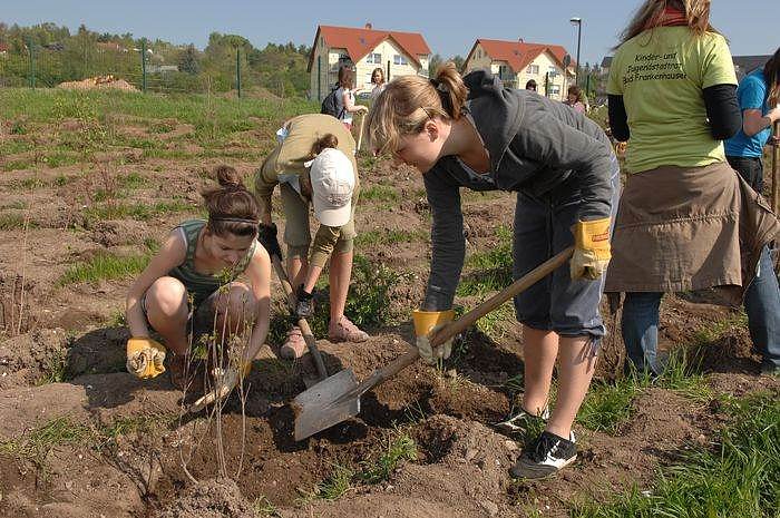 Tag des Waldes in Bad Frankenhausen